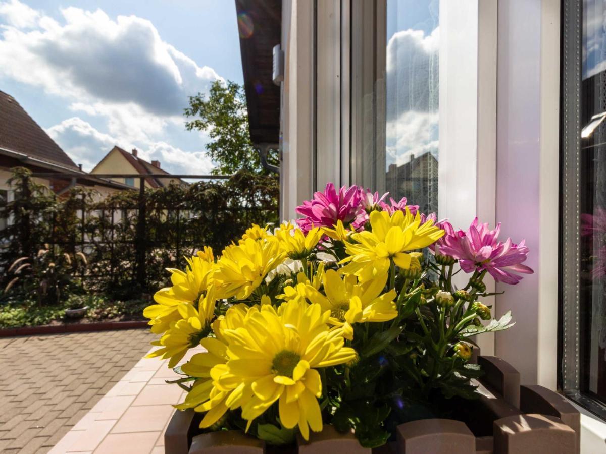 Ferienwohnung Schwarz Gademow Eksteriør bilde
